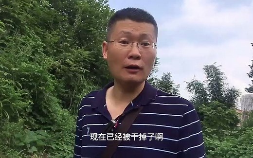 Android 底层开发 前途如何 ，安卓是java半壁江山，从中你可看出一些 学java前景如何