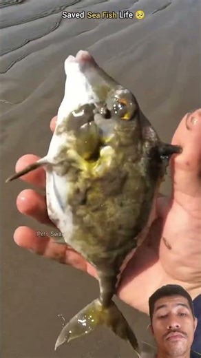 #fishing #beach #fish #travel #fishinglife #music #livemusic #newmusic #musician #newartist