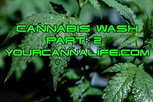 190 proof grain alcohol cannabis wash Part 2: Potential clients should only contact us if you meet at least three of the following qualifications; a team with proven experience, have or able to invest at least 5 percent of the amount you're seeking, a license to operate has been achieved, revenue has been achieved, land ownership or lease agreement, equipment ownership, letters of intent / purchase agreements, a business plan and / or a pitch deck. Website: yourcannalife.com Email: info@yourcann