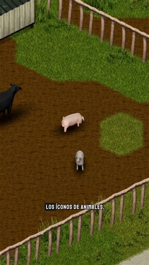 The NEW Project Zomboid MAP 📍