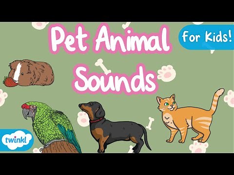 Pet Animal Names and Sounds | Animal Sounds for Kids | Names of Pets for Kids