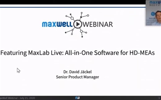 MaxWell高密度MEA软件应用