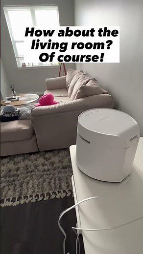 Humidifier Placement 101