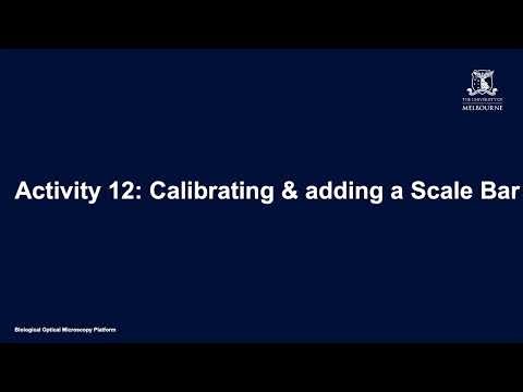 FIJI for Beginners (Activity 12): Calibrating and adding a scale bar