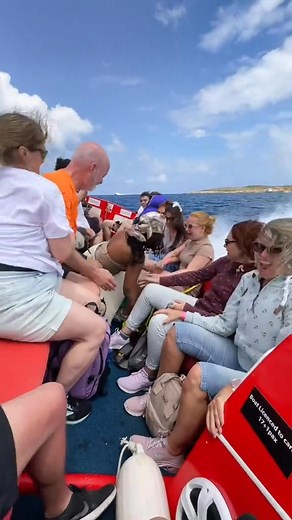 Person Falls Off Speed Boat | Boat Fails and Chaos