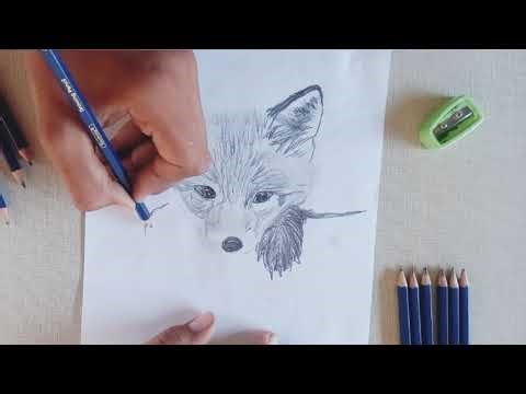 Draw fox step by step || hyper relastic fox sketch