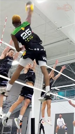 Legendary Lloy Ball Showing How an Olympic Setter Gets It Done 🏐🔥