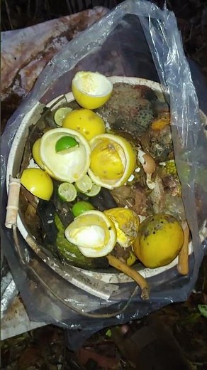 How to Make Nutrient-Rich Compost Using Fruits at Home