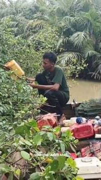 Lift the dragon trap and mangrove crab trap #shorts