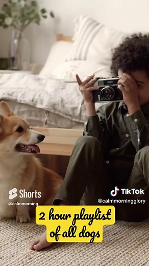 2 hour calming playlist of all dogs #relaxingmusic #calmingmusic #cinematic #doglover