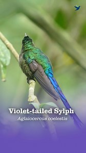 6.9K views · 298 reactions | Are you the sort of person who likes a...