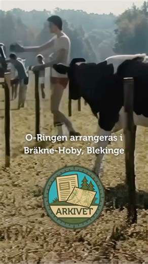 O-Ringen | O-Ringen i Blekinge, Bräkne-Hoby, 1984. En ort med runt 1 700 invånare som plötsligt blev centrum för hela orienteringssverige. Och ja:... | Instagram