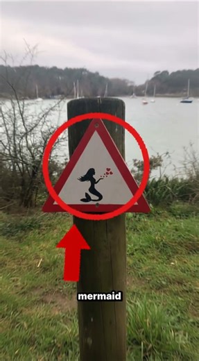If You See This Mermaid Road Sign… Don’t Stop🧜‍♀️😳 #shorts #viralshorts #mystery