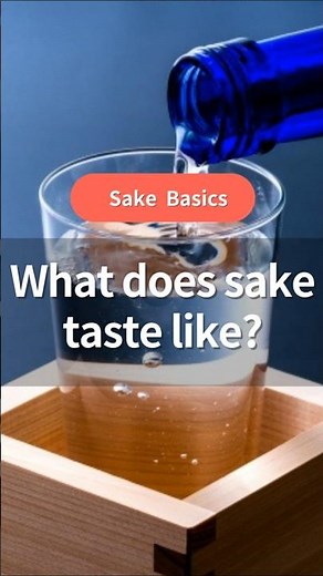 What does sake taste like? How is it different from wine?｜Sake Basics