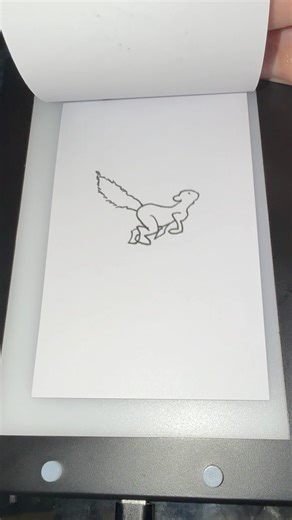 Squirrel Run Animation #art #drawing #animation