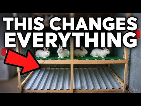 Build Your Own Rabbit Cage in 5 minutes — Cheap, Clean & Strong