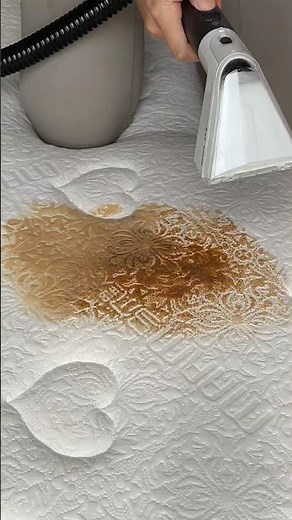 How to Use Your SpotClean®
