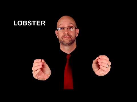 Meat & Dairy Vocabulary | ASL - American Sign Language