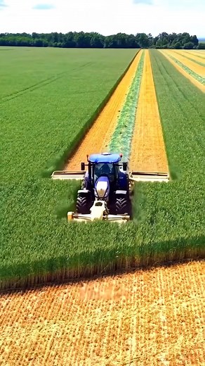 2.2K views | a modern tractor harvesting a vast field #Amazing #AbsolutelyAmazing #SoAmazing #JustAmazing #TrulyAmazing | Factory Monster | Facebook