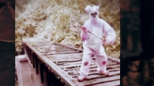 A midnight walk through Bunny Man Bridge ends with you hanging (legend says)