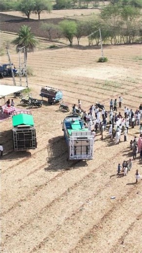 #timli #aadiwasi #adiwasi #adivasi #dahod #aadivasi #india #gj #royal #jay #tribal #johar #navratri