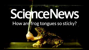 44K views · 152 reactions | Here’s what puts the grip in a frog’s...