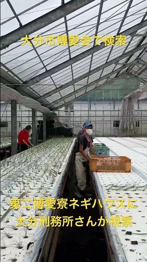 大分市 社会福祉 支援員 全国が注目する施設 #shorts