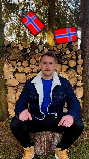 110K views · 3.6K reactions | important verbs you need to know! :) #norsk #norwegianlanguage #norwegisch #języknorweski #norveçce #اللغة_النرويجية #aflaaninorwegian #norsk #norska #زبان_نروژی #norvégien #idiomanoruego #norskt #linguanorvegese | Norweski przez skojarzenia | Facebook