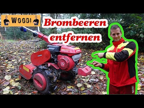Permanently removing blackberries with a two-axle tractor - is that possible? Reforestation