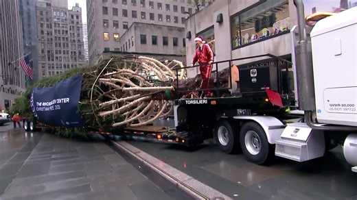 See the 2025 Rockefeller Center Christmas Tree Arrive in NYC