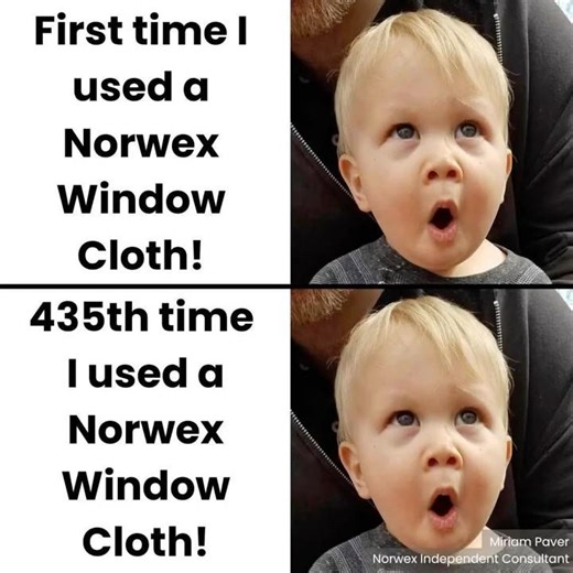 Norwex Window Cloth in the Grab-N-Go Shine Kit