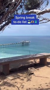11K views · 97 reactions | In honor of spring break, here are some of...
