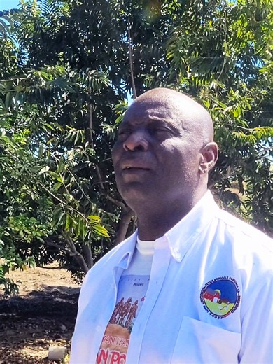 Latest News and Updates from Haiti