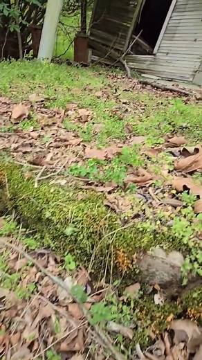 185K views · 3.2K reactions | you wouldn't believe why this abandoned house is leaning #abandonedplaces #abandoned_places #forgottenplaces #abandonedhouse #abandonedbuilding #forgotten #abandonedphotography #decay #abandon_seekers #urbexing | ExploreThings | Facebook