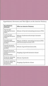 Hypothalamic Hormones: The Brain’s Master Controller! 👑
