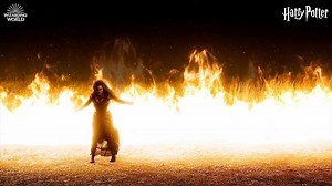 152K views · 4K reactions | The notorious Bellatrix Lestrange; a dangerous witch and a skilled duelist. | Harry Potter | Facebook