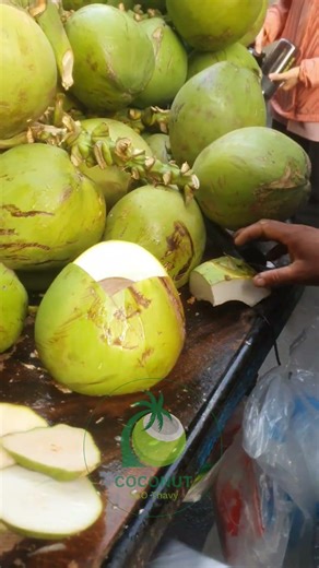 Cutting Coconut With A Master Chef The Art of Culinary Precision