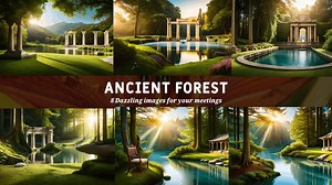 Ancient Forest Virtual Backgrounds: Natural Landscapes for Zoom (8 Pack) (digital Download) - Etsy UK
