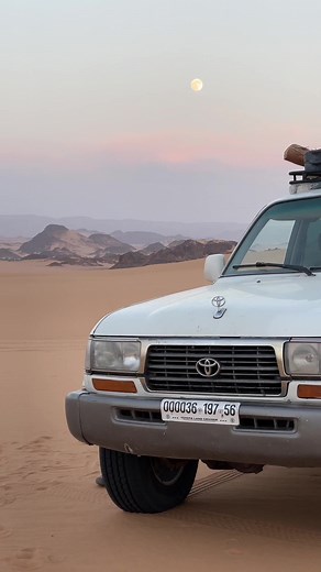 Algerian War of Independence: Remembering the Fight for Freedom