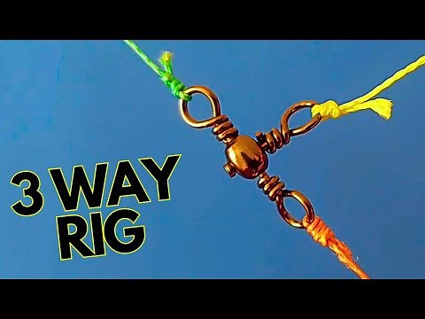 3 Way Rig Tutorial | Rigging Live Bait for Catfish 🐟