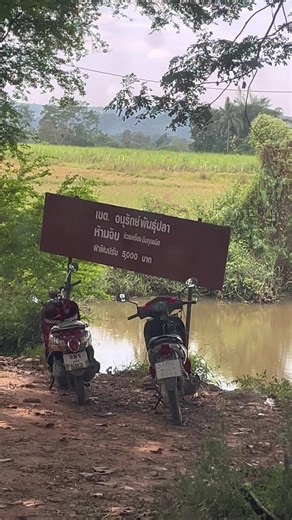 ได้หลายบ่น้อ😂 #ตกปลา #ตกปลาช่อนข้างทาง