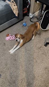 5.4K views · 19K reactions | “Bro has a IRL 2 step verification” is the funniest comment I’ve read all month  | Kody Green | Facebook