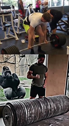 🦍GORILLA GRIP😳