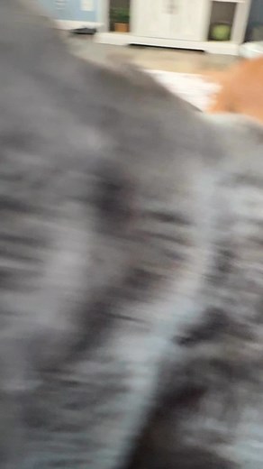 Neighborhood Watch on duty | Kristin Wiese