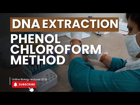 DNA extraction from Blood | Phenol-Chloroform method | Molecular biology