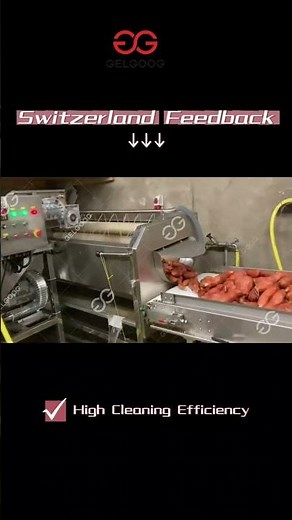 Sweet Potato Cleaning Washing Machine #machine