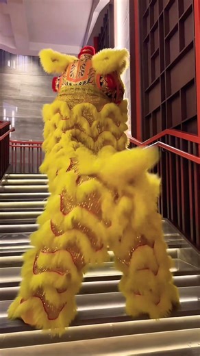 #liondance2026 #liondance #chinesedancer #funny #chineseclassicaldance