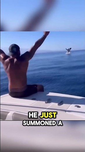 The magic conch shell