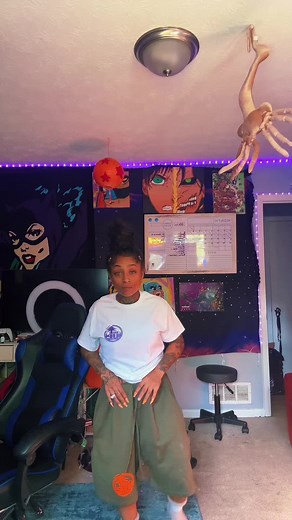 Magic Tricks Revealed: Making a Plane Disappear