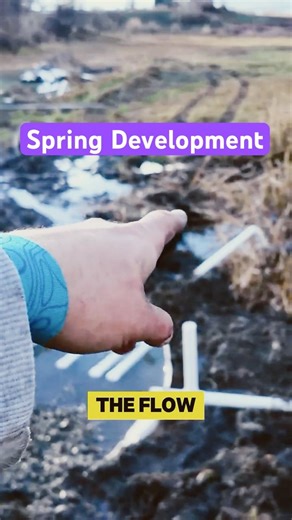 Free Water Forever with Gravity #DIY #Homesteading #OffGrid